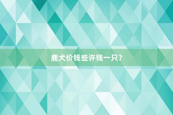 鹿犬价钱些许钱一只？