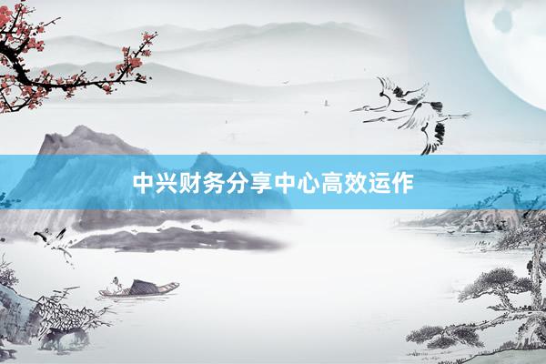 中兴财务分享中心高效运作