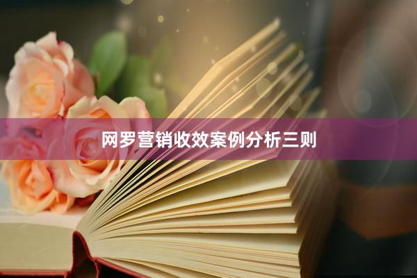网罗营销收效案例分析三则